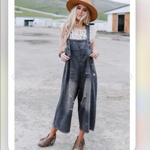 ISO looking for this overalls